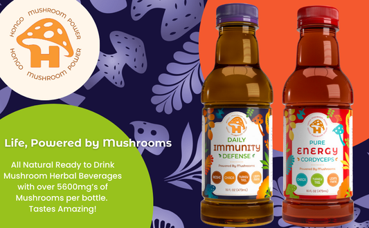 Hongo Daily Immunity Defense - Reishi, Lion's Mane, Turkey Tail, Chaga - 5600mg -Ready to Drink Mushroom Herbal Beverage