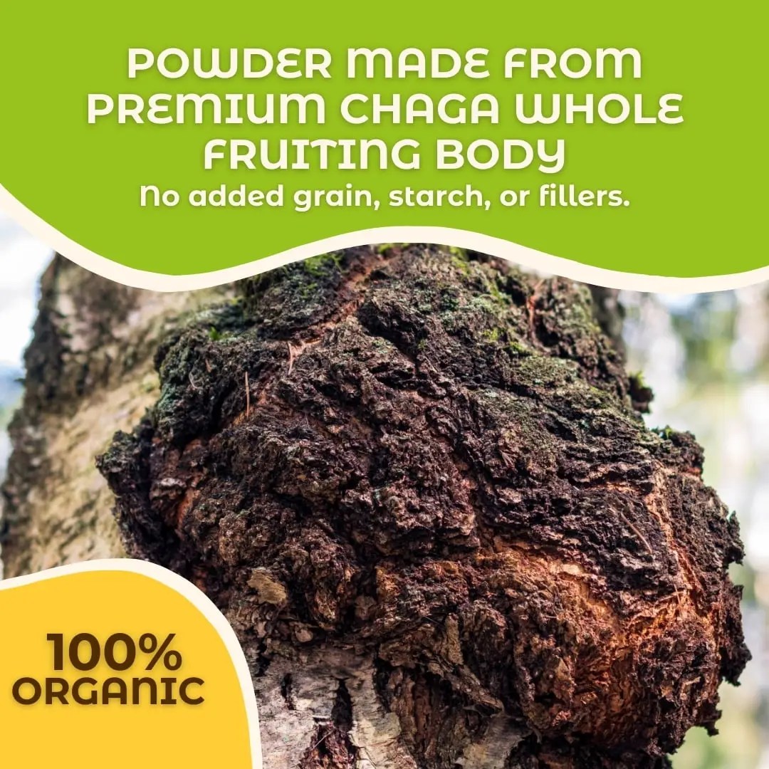 Chaga Mushroom Whole Fruiting Body Powder