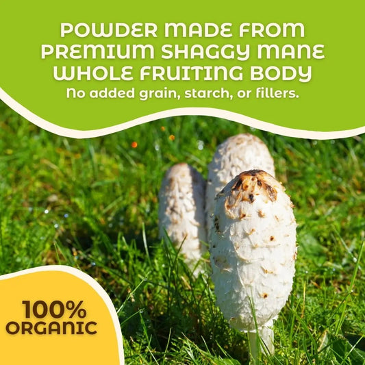 Hongo Shaggy Mane (Coprinus Comatus) whole fruiting body mushroom powder — packaging detail