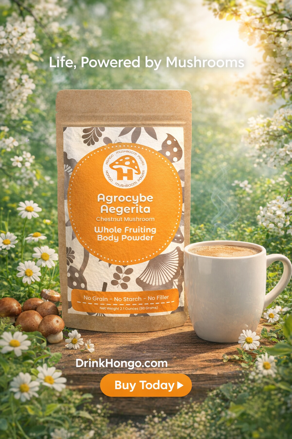 Agrocybe Agreita Mushroom Powder