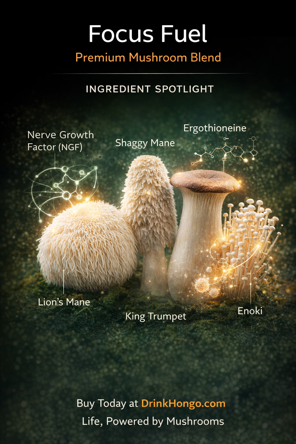 Shaggy Mane Mushroom Whole Fruiting Body Powder (Coprinus Comatus)