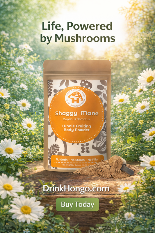 Shaggy Mane Mushroom Whole Fruiting Body Powder (Coprinus Comatus)