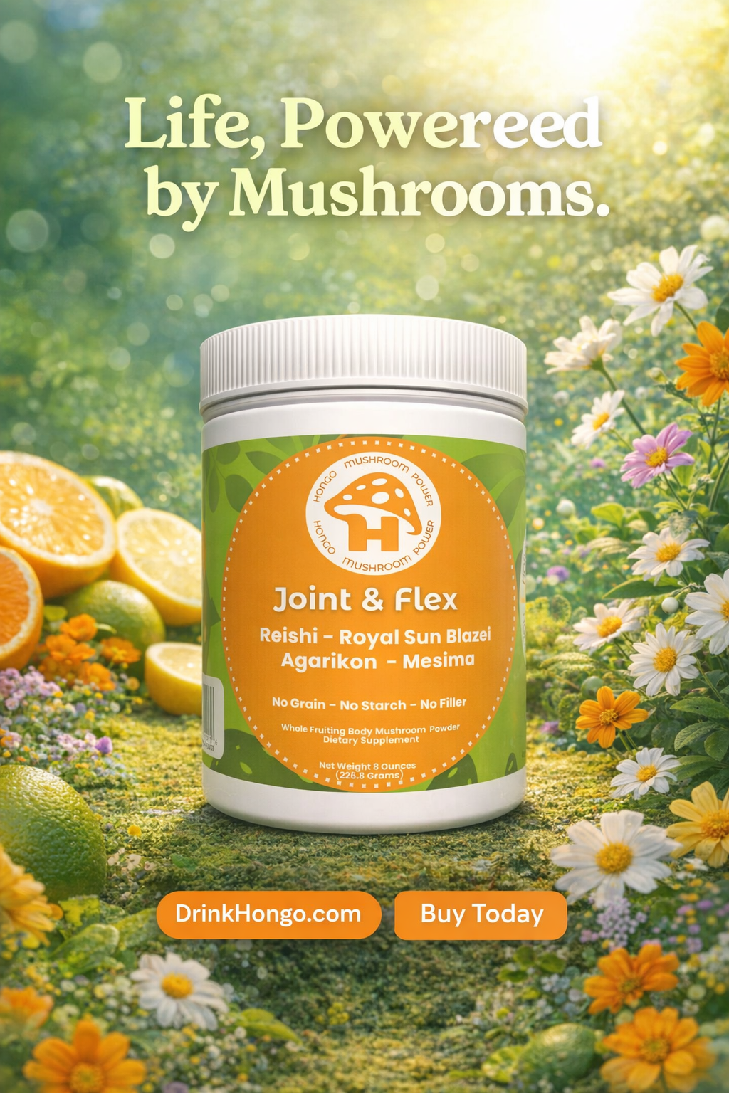 Hongo Joint and Flex Mushroom Blend