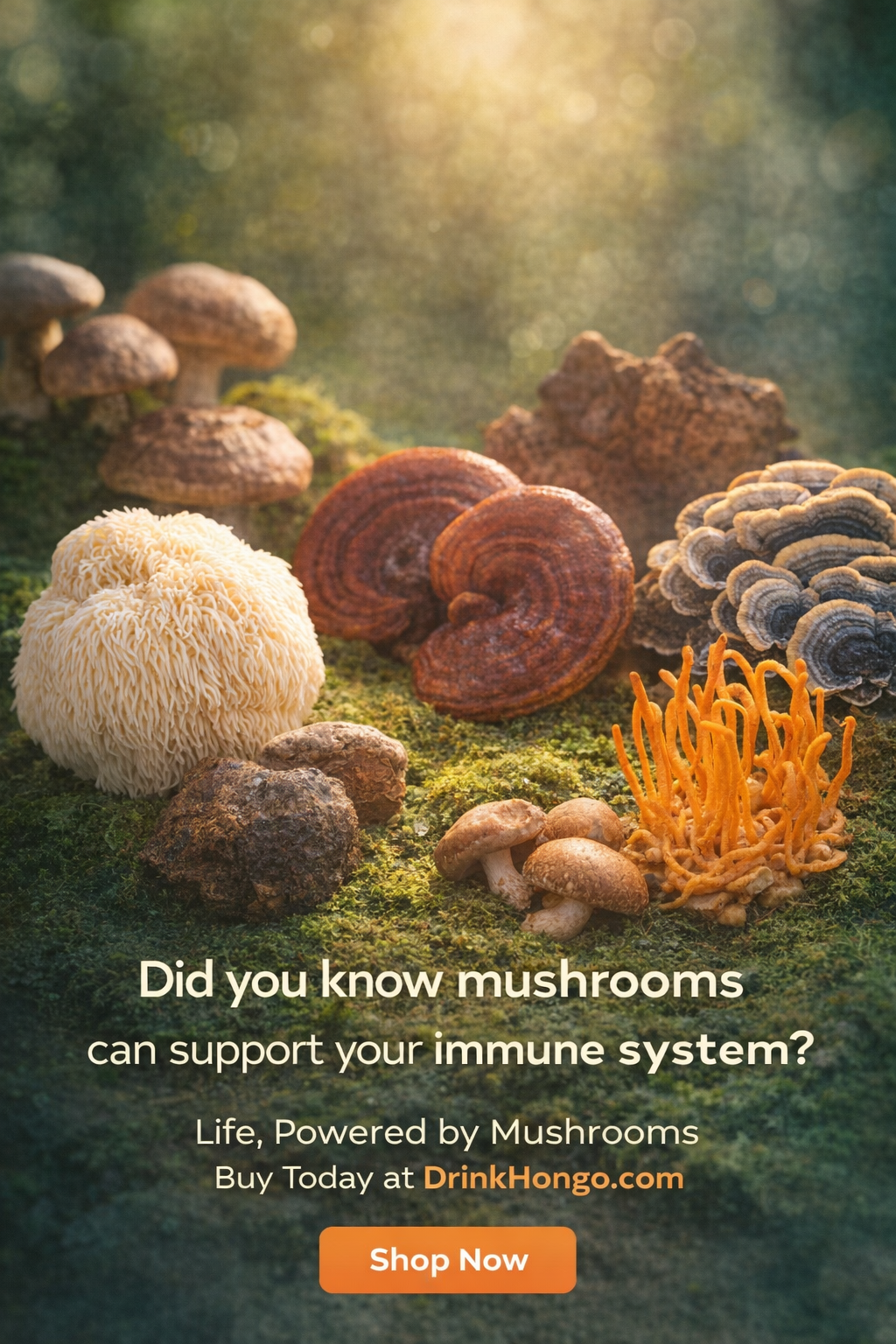 Hongo Daily Immunity Defense - Reishi, Lion's Mane, Turkey Tail, Chaga - 5600mg -Ready to Drink Mushroom Herbal Beverage