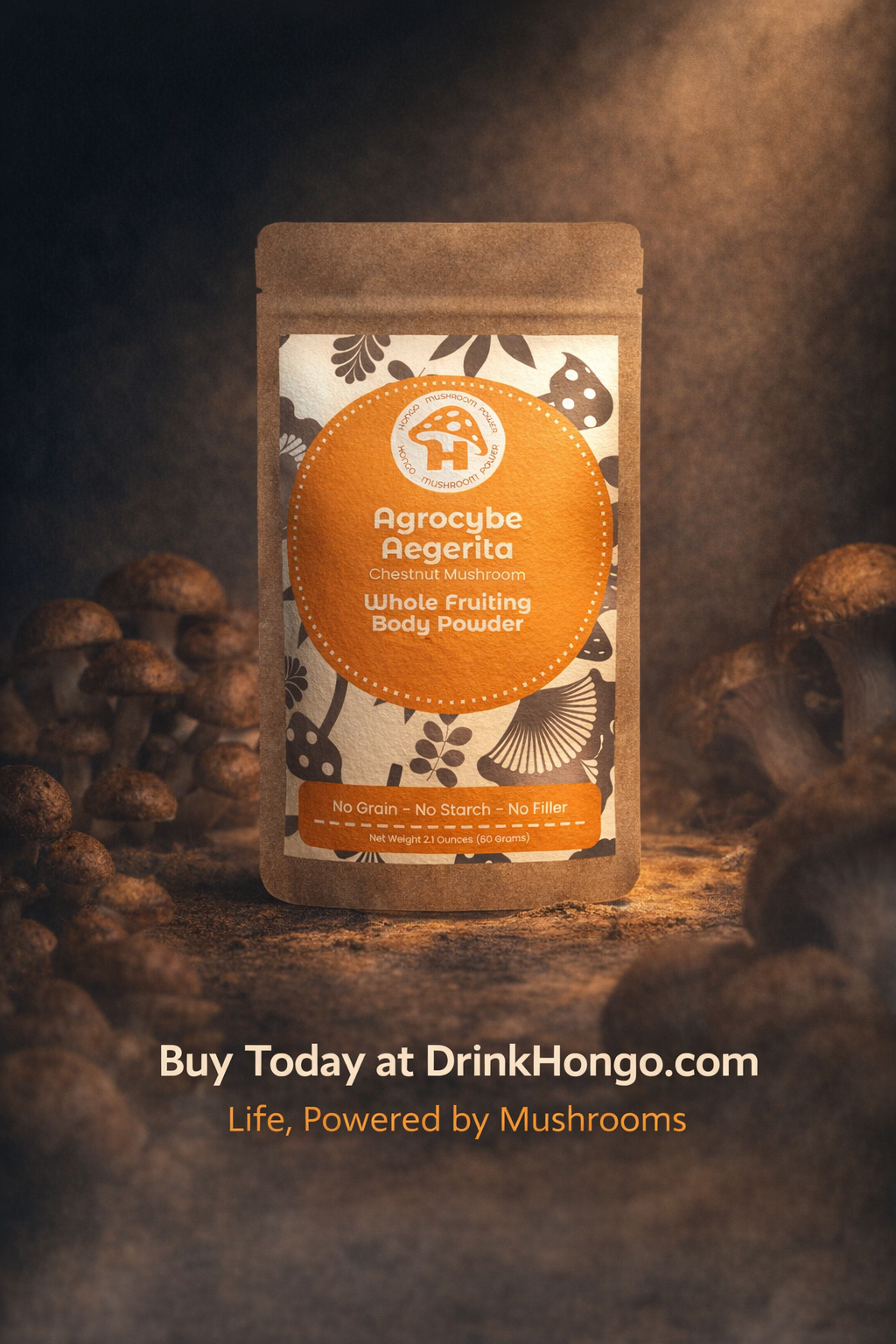 Agrocybe Agreita Mushroom Powder