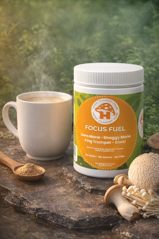 Focus Fuel - Mushroom Blend