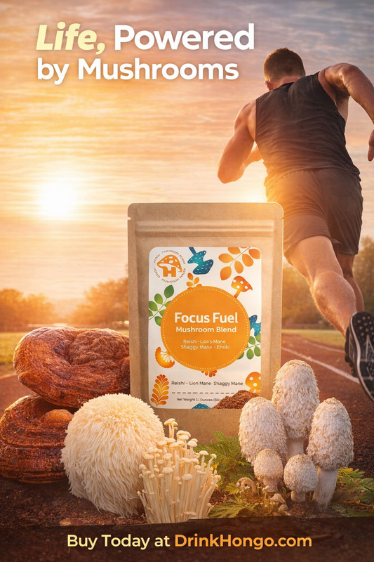 Chaga Mushroom Whole Fruiting Body Powder