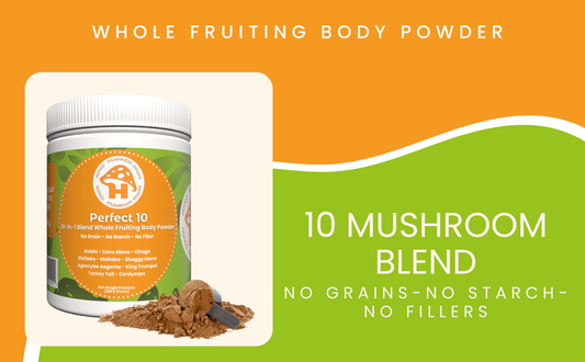 Hongo Perfect 10 mushroom blend powder with 10 functional mushrooms — packaging detail