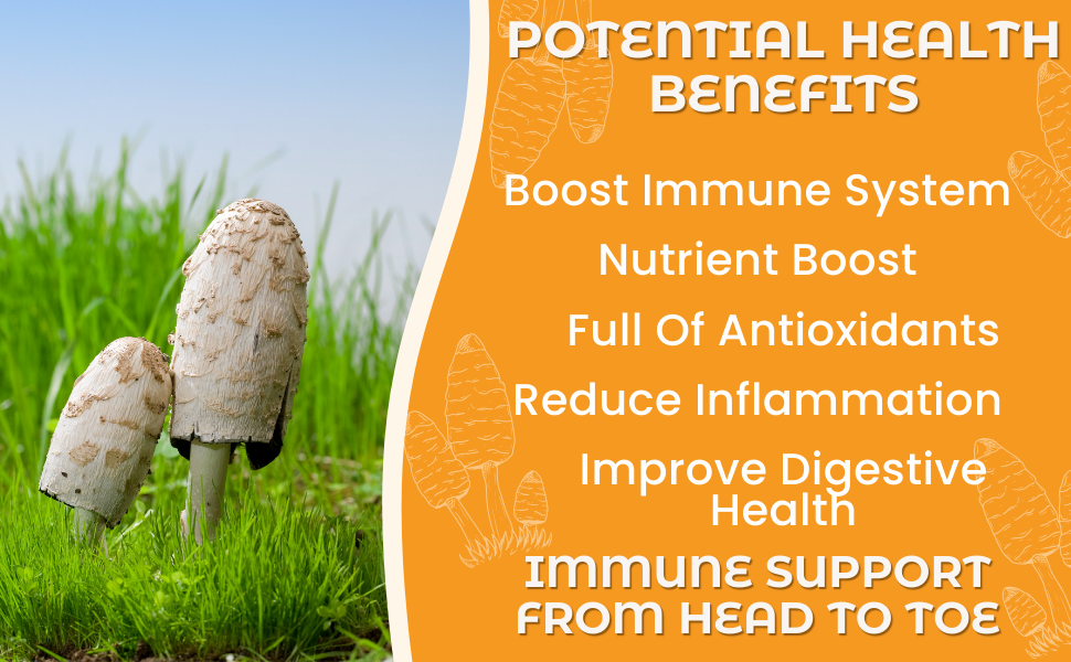 Hongo Premium Enoki whole fruiting body mushroom powder — lifestyle image