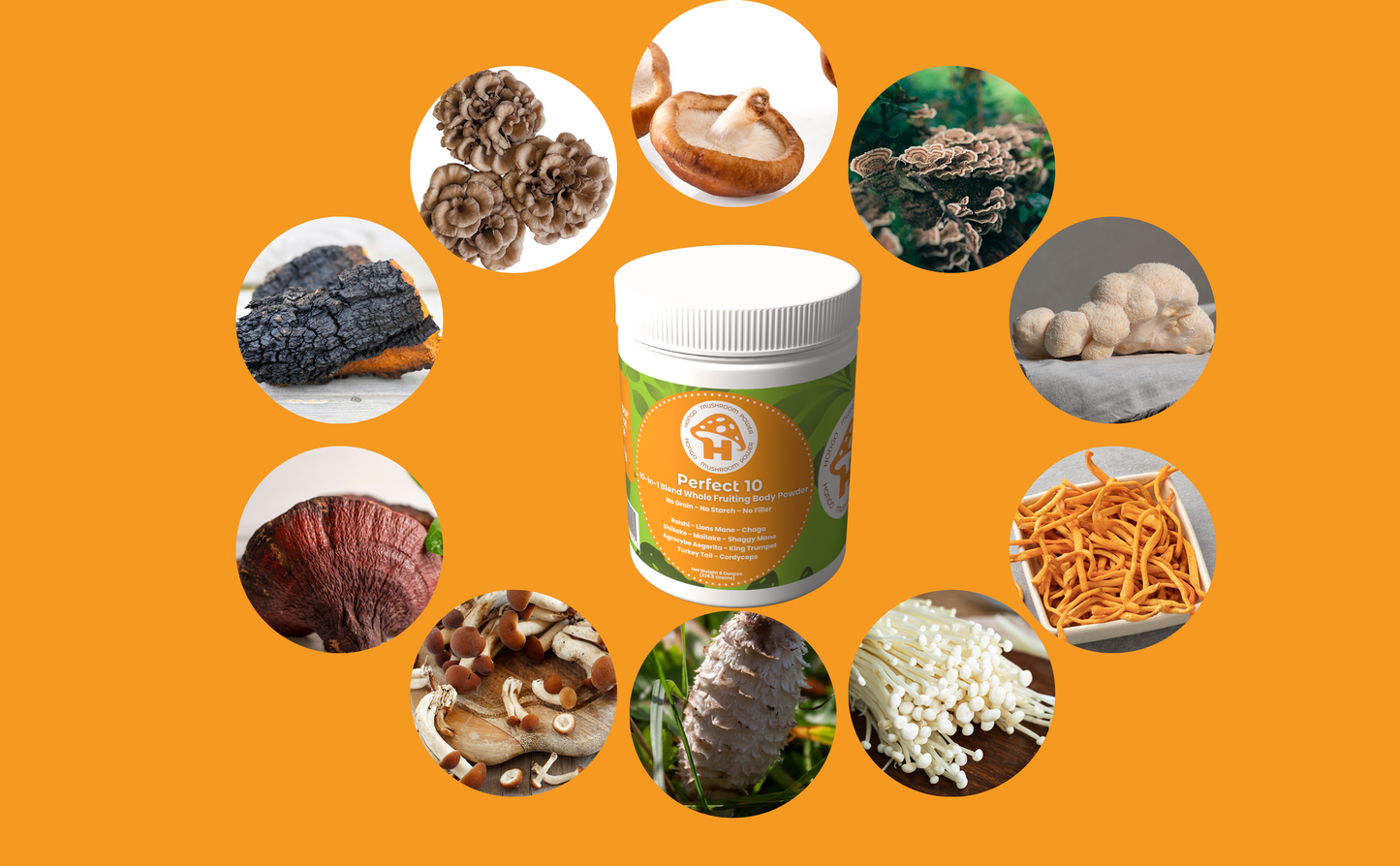 Hongo Perfect 10 mushroom blend powder with 10 functional mushrooms — supplement facts