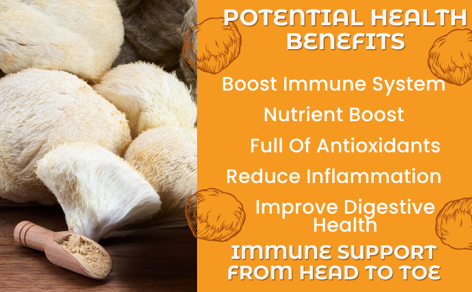 Hongo Lion's Mane whole fruiting body mushroom powder — product in use