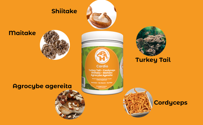 Hongo Cardio mushroom blend powder for heart vitality and cardiovascular support — lifestyle shot
