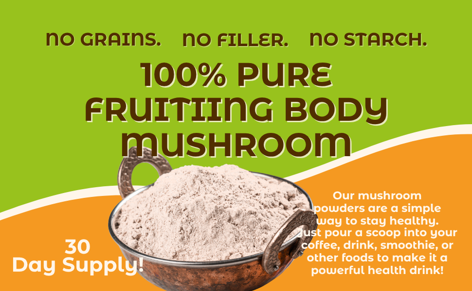Hongo Lion's Mane whole fruiting body mushroom powder — lifestyle shot