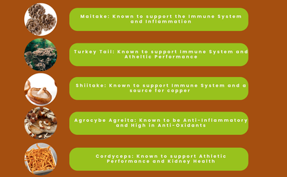 Hongo Cardio mushroom blend powder for heart vitality and cardiovascular support — benefits infographic