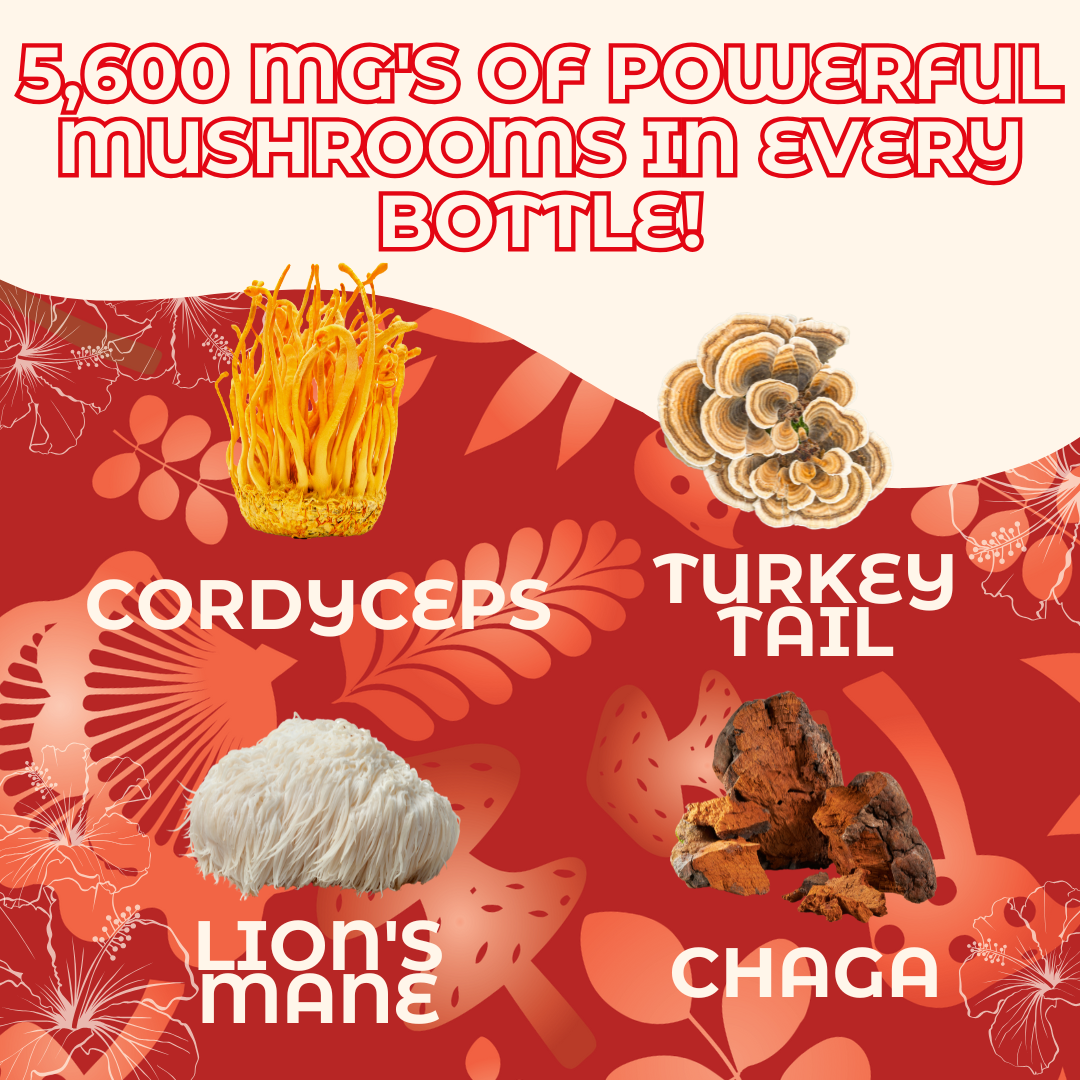 Hongo Pure Energy - Cordyceps, Lions Mane, Turkey Tail, Chaga, Hibiscus and Tulsi Rama - 5600mg of Mushrooms - Ready to Drink Mushroom Herbal Beverage