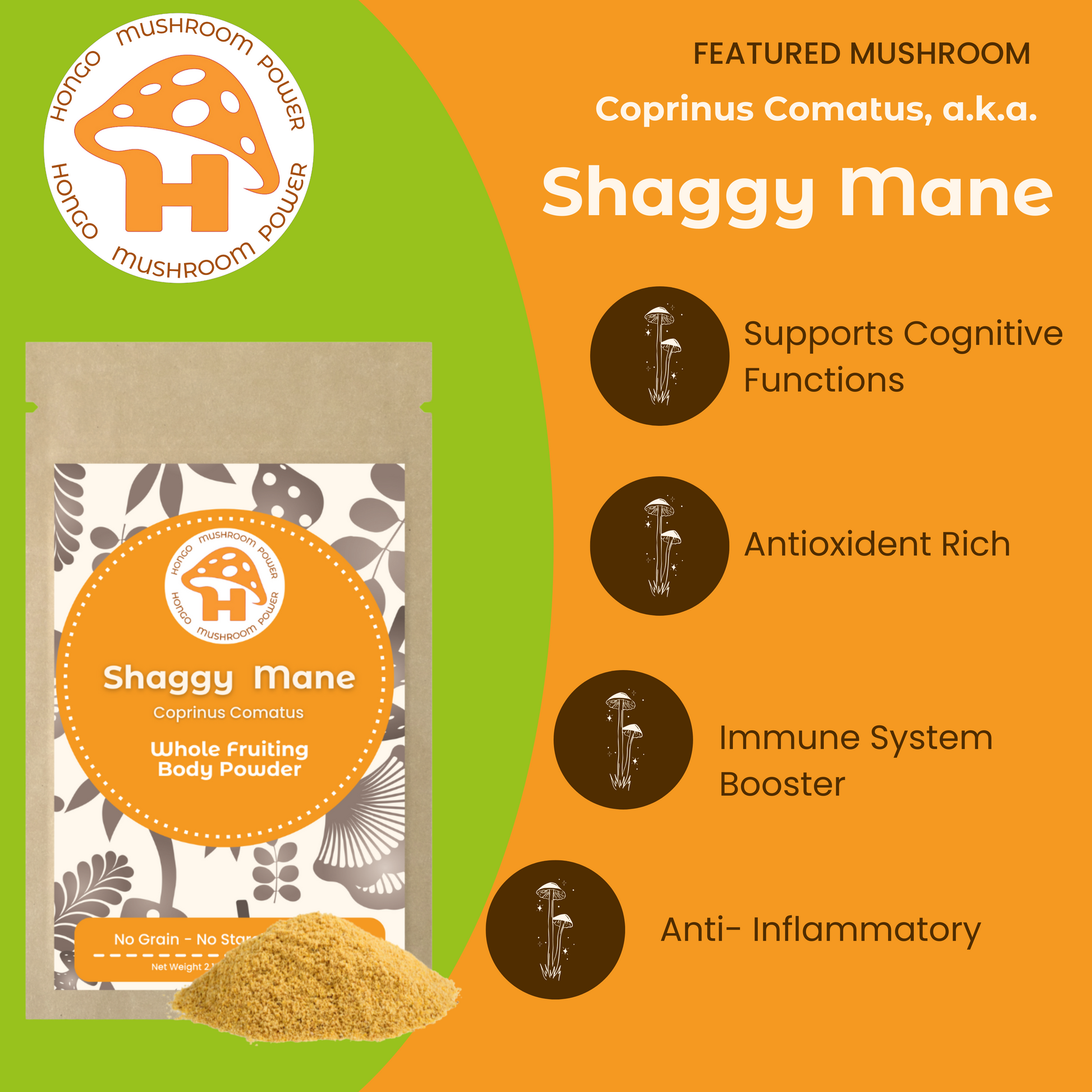 Hongo Shaggy Mane (Coprinus Comatus) whole fruiting body mushroom powder — lifestyle shot
