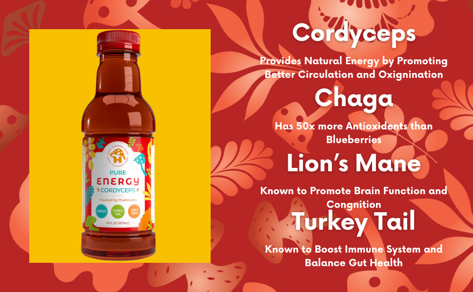 Hongo Pure Energy - Cordyceps, Lions Mane, Turkey Tail, Chaga, Hibiscus and Tulsi Rama - 5600mg of Mushrooms - Ready to Drink Mushroom Herbal Beverage