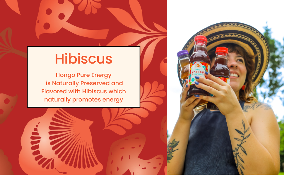 Hongo Pure Energy - Cordyceps, Lions Mane, Turkey Tail, Chaga, Hibiscus and Tulsi Rama - 5600mg of Mushrooms - Ready to Drink Mushroom Herbal Beverage