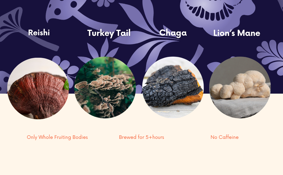 Hongo Daily Immunity Defense - Reishi, Lion's Mane, Turkey Tail, Chaga - 5600mg -Ready to Drink Mushroom Herbal Beverage