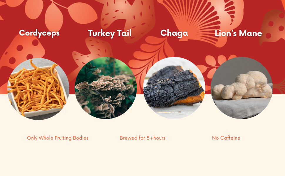 Hongo Pure Energy - Cordyceps, Lions Mane, Turkey Tail, Chaga, Hibiscus and Tulsi Rama - 5600mg of Mushrooms - Ready to Drink Mushroom Herbal Beverage