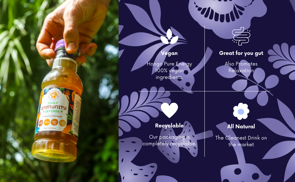 Hongo Daily Immunity Defense - Reishi, Lion's Mane, Turkey Tail, Chaga - 5600mg -Ready to Drink Mushroom Herbal Beverage