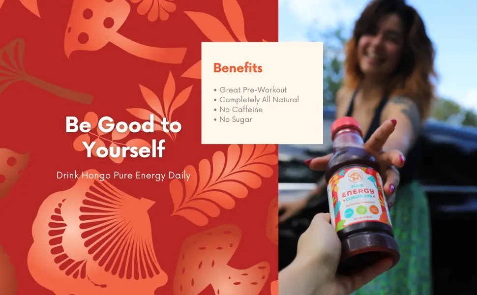 Hongo Pure Energy | Cordyceps & Lion's Mane Mushroom Tea | 16oz Bottles