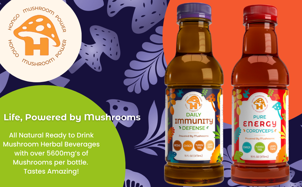 Hongo Daily Immunity Defense - Reishi, Lion's Mane, Turkey Tail, Chaga - 5600mg -Ready to Drink Mushroom Herbal Beverage