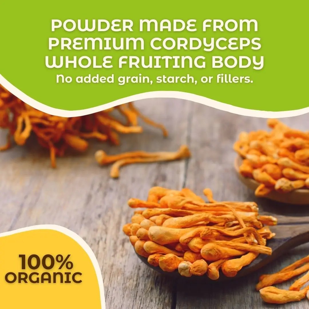 Cordyceps Mushroom Whole Fruiting Body Powder