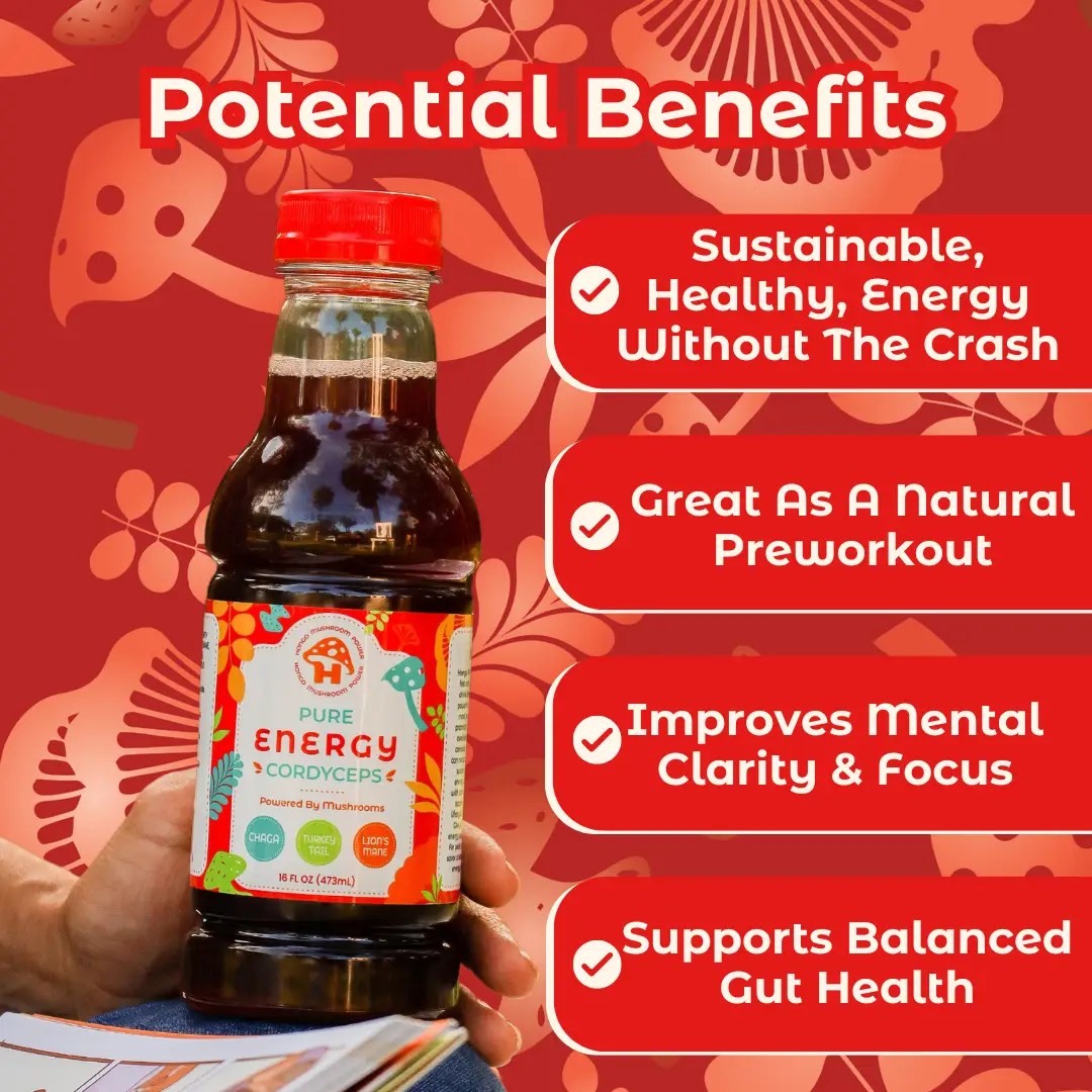 Hongo Pure Energy | Cordyceps & Lion's Mane Mushroom Tea | 16oz Bottles