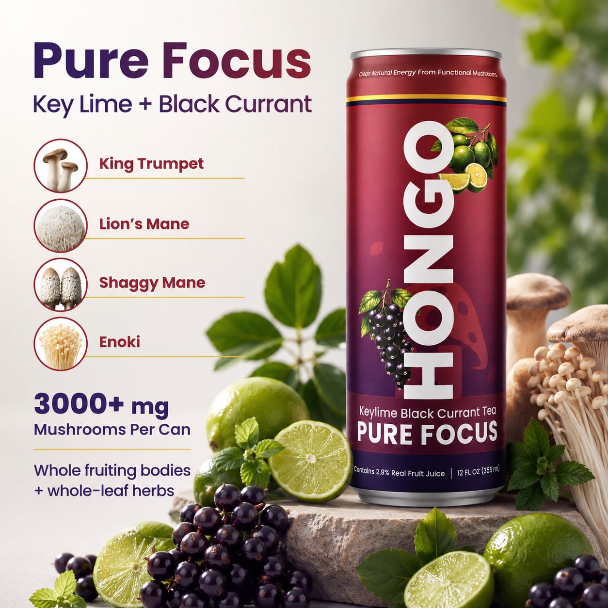 Hongo Pure Focus Key Lime Black Currant Tea with mushroom blend product graphic