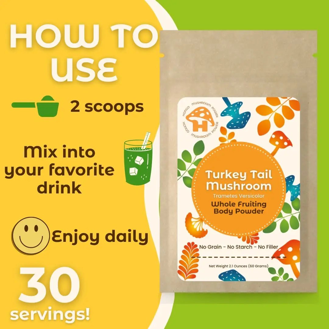 Turkey Tail Whole Fruiting Body Mushroom Powder