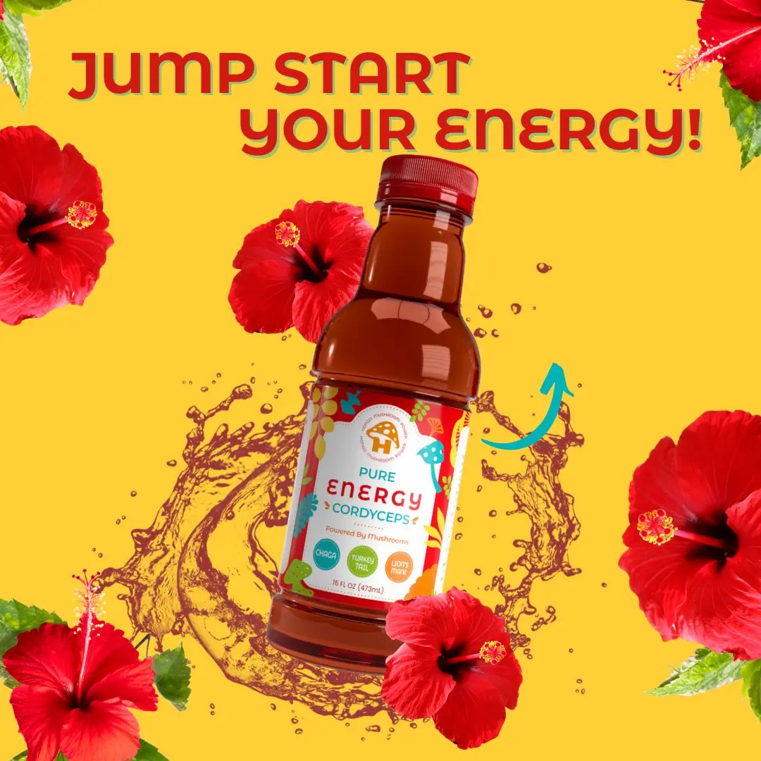 Hongo Pure Energy | Cordyceps & Lion's Mane Mushroom Tea | 16oz Bottles