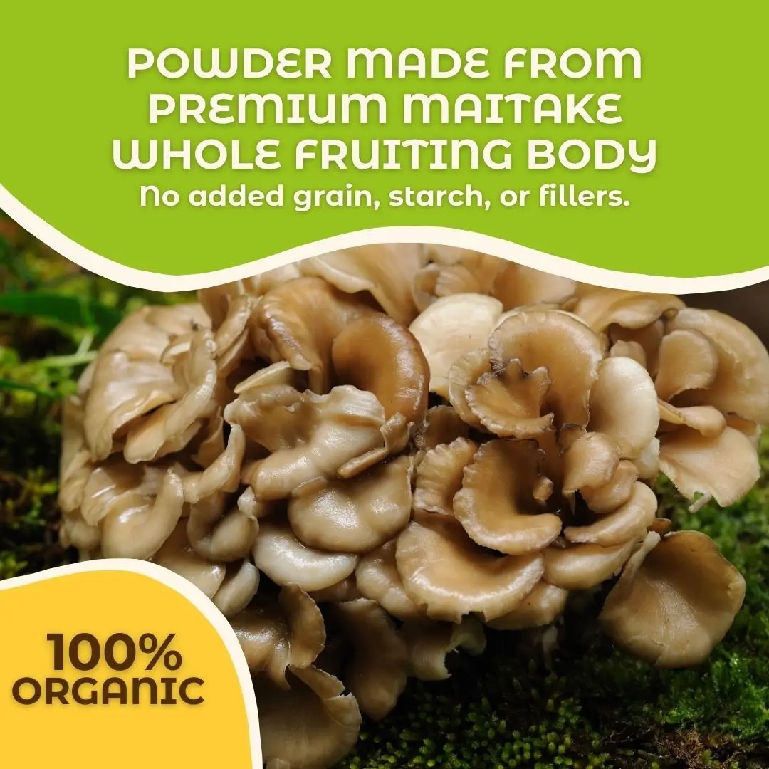 Maitake Mushroom Whole Fruiting Body Powder