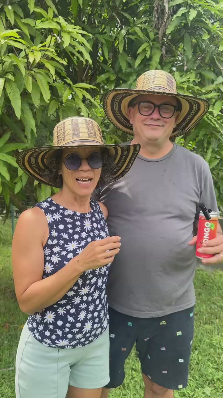 Load video: From a backyard Reishi discovery to Hongo Tea Co.