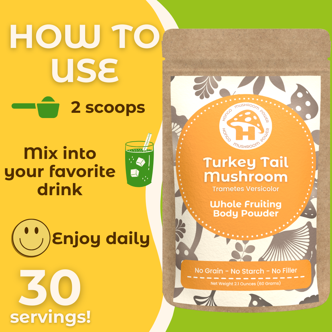 Turkey Tail Whole Fruiting Body Mushroom Powder