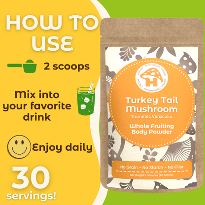 Hongo Turkey Tail whole fruiting body mushroom powder — preparation instructions